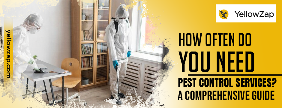 How Often Do You Need Pest Control Services A Comprehensive Guide